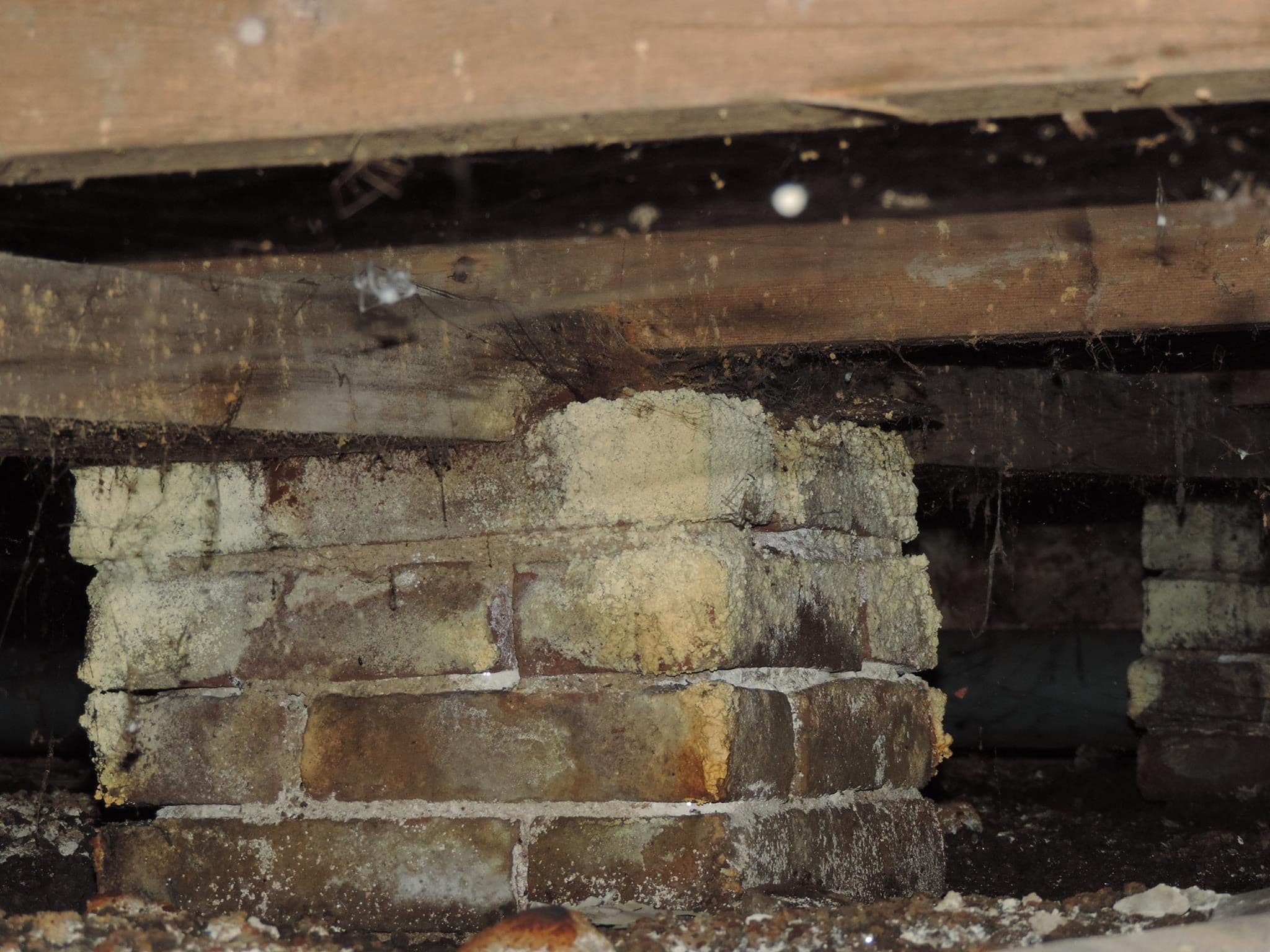 Kruipruimte en houtenvloer